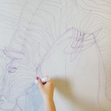 Рисуване върху коприна зебра майсторски клас